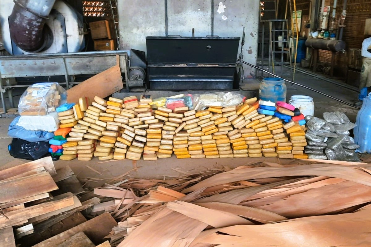 POLÍCIA CIVIL DE RONDÔNIA INCINERA MAIS DE MEIA TONELADA DE DROGAS EM VILHENA EM AÇÃO CONTRA O TRÁFICO