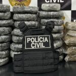POLÍCIA CIVIL APREENDE 30 QUILOS DE MACONHA EM SÃO MIGUEL DO GUAPORÉ